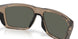 910419 - Brown - Gray