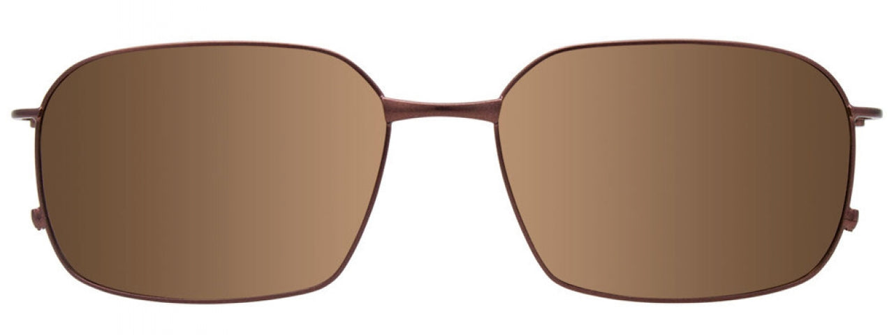 10 - Satin Brown/Blue