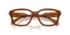 22I1O1 - Brown