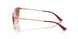 325814 - Pink - Pink Gradient Brown