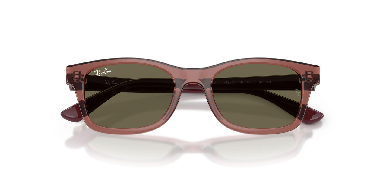7197/3 - Violet - Brown