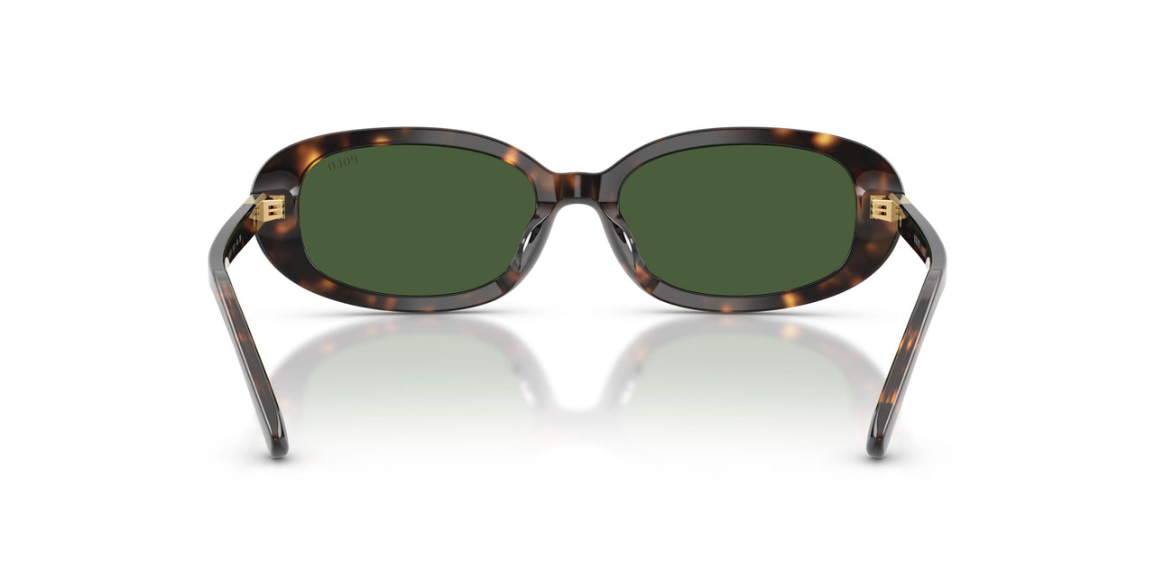 500371 - Tortoise - Bottle Green