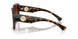 300274 - Brown - Brown Gradient