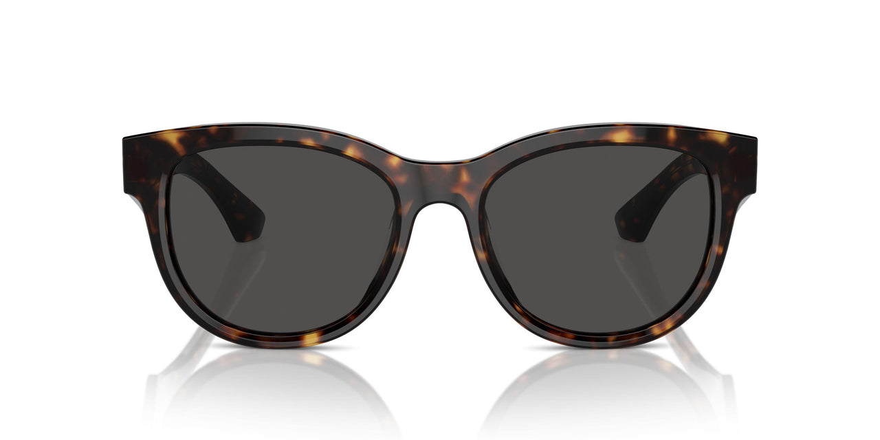 300287 - Brown - Dark Grey