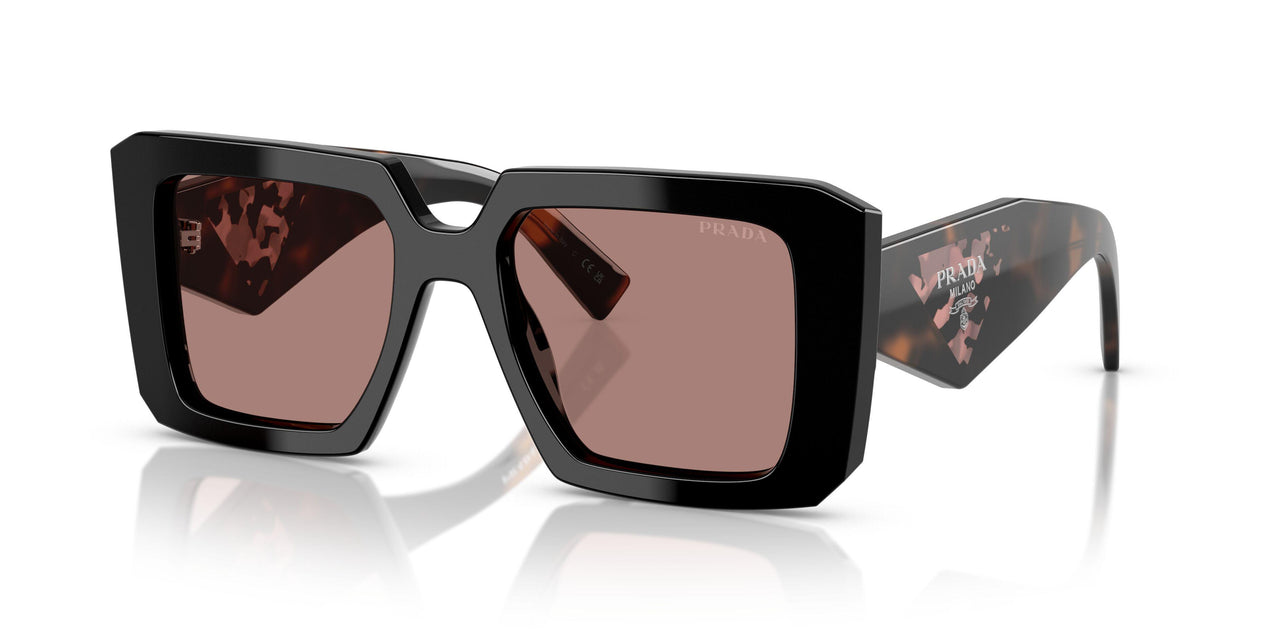 27B60B - Black - Light Brown