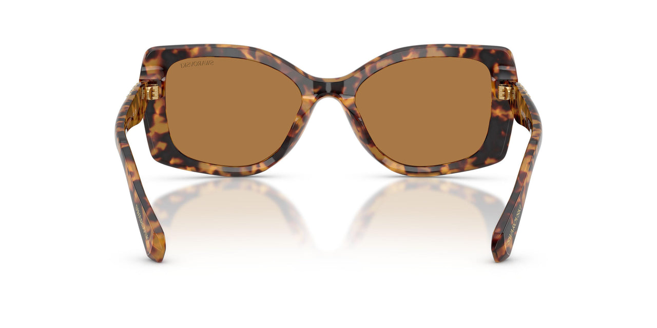 104073 - Tortoise - Bronze