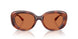 577473 - Tortoise - Brown Solid