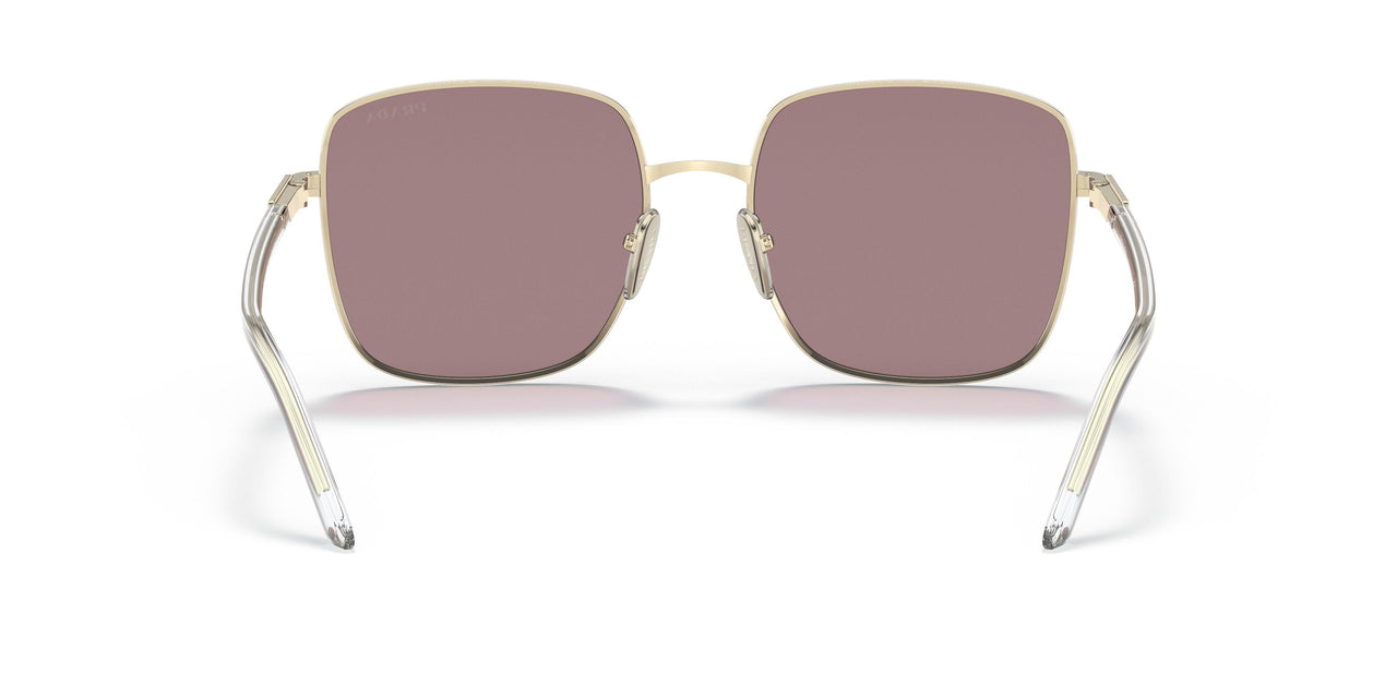 ZVN06I - Gold - Light Purple Brown
