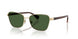 Ralph 4149 Sunglasses