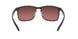894/6B - Havana - Brown Polar Mirror Gold
