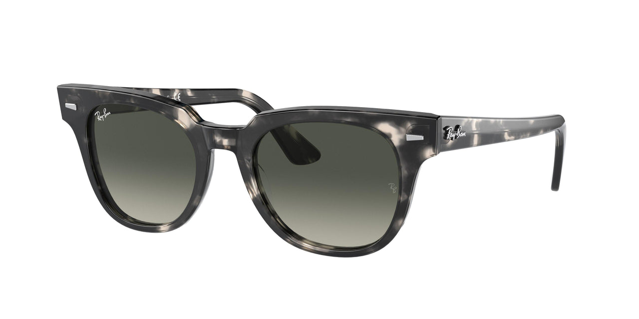 Ray-Ban Meteor 2168 Sunglasses