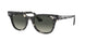 Ray-Ban Meteor 2168 Sunglasses