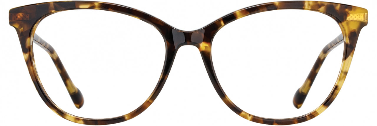 1 - Tortoise / Gold