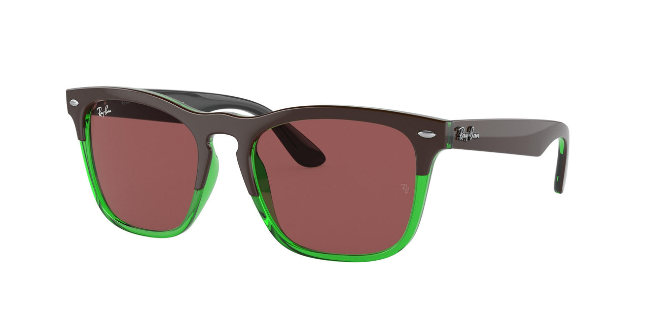 Ray-Ban Steve 4487 Sunglasses