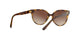 W65613 - Havana - Brown Gradient