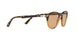 905653 - Havana - Brown