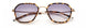 Paradigm 19-37 Sunglasses