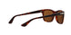 24/57 - Havana - Brown Polarized