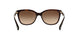 529113 - Havana - Dark Brown Gradient