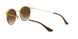 900913 - Brown - Brown Gradient Dark Brown