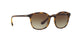 W65613 - Havana - Brown Gradient
