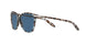 169280 - Blue Tortoise - Blue Solid