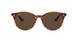 820/73 - Red - Dark Brown