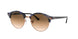 125651 - Havana - Clear Gradient Brown