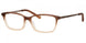 0YZ4-00 - Matte Brown