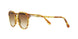 106151 - Havana - Clear Gradient Brown