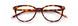 Paradigm 21-07 Eyeglasses