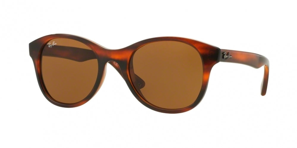 Ray-Ban 4203 Sunglasses