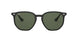 601/71 - Black - Green
