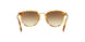106151 - Havana - Clear Gradient Brown