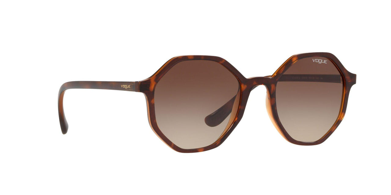 238613 - Brown Gradient