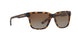 8029T5 - Havana - Polar Brown Gradient