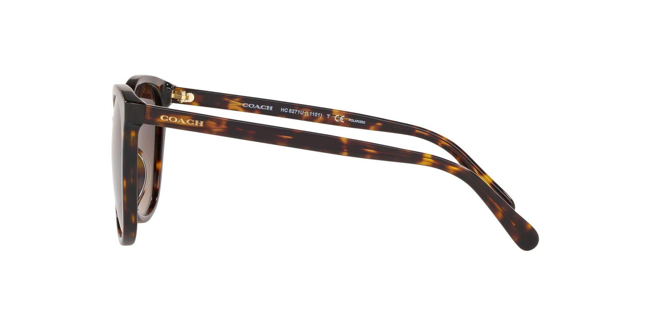 5120T5 - Havana - Dark Brown Gradient Polar
