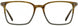 Michael Ryen MR336 Eyeglasses