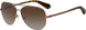Kate Spade Avaline2 Sunglasses