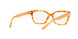 1725 - Amber Tortoise