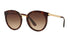 502/13 - Havana - Brown Gradient