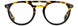STATE Optical Co. WEBSTER Eyeglasses