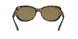 710/73 - Havana - Brown