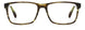 0145-00 - Horn Olive