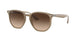 616613 - Light Brown - Brown Gradient Dark Brown