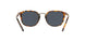 1081R5 - Brown - Blue