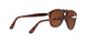 1091AN - Brown - Polar Brown