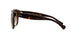 137813 - Havana - Brown Gradient