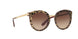 315513 - Multi - Brown Gradient
