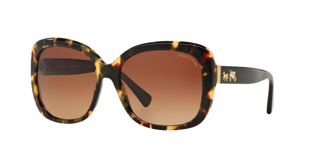 5324T5 - Havana - Brown Gradient Polar